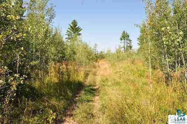 0 Elm Hoist Road Marengo, WI 54855 - Photo 6 of 17 Gallery Image 6