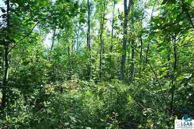 0 Elm Hoist Road Marengo, WI 54855 - Photo 7 of 17 Gallery Image 7