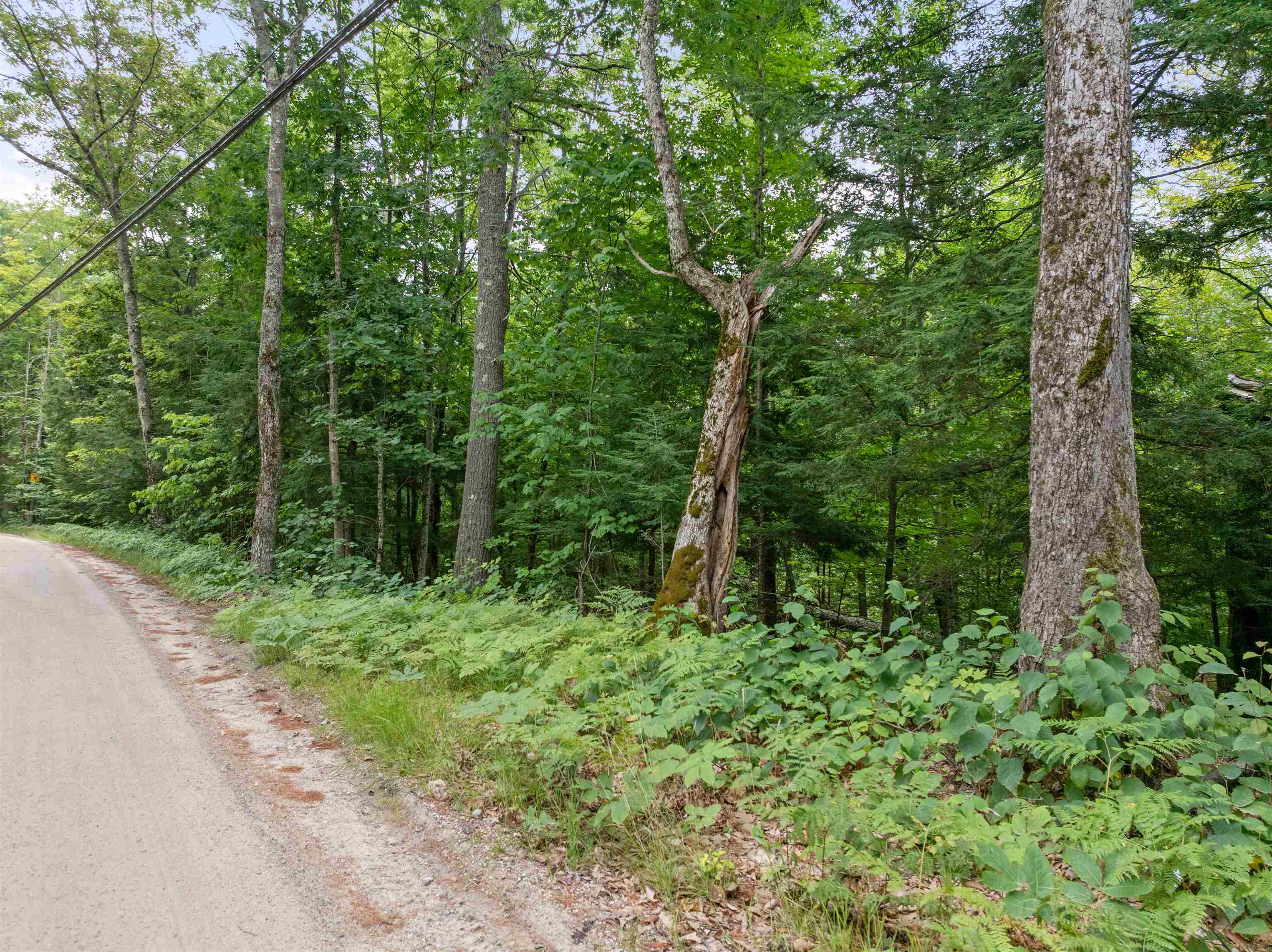 0 Gilman Point Road Moultonborough, NH 03254 - Photo 20 of 25 Gallery Image 20