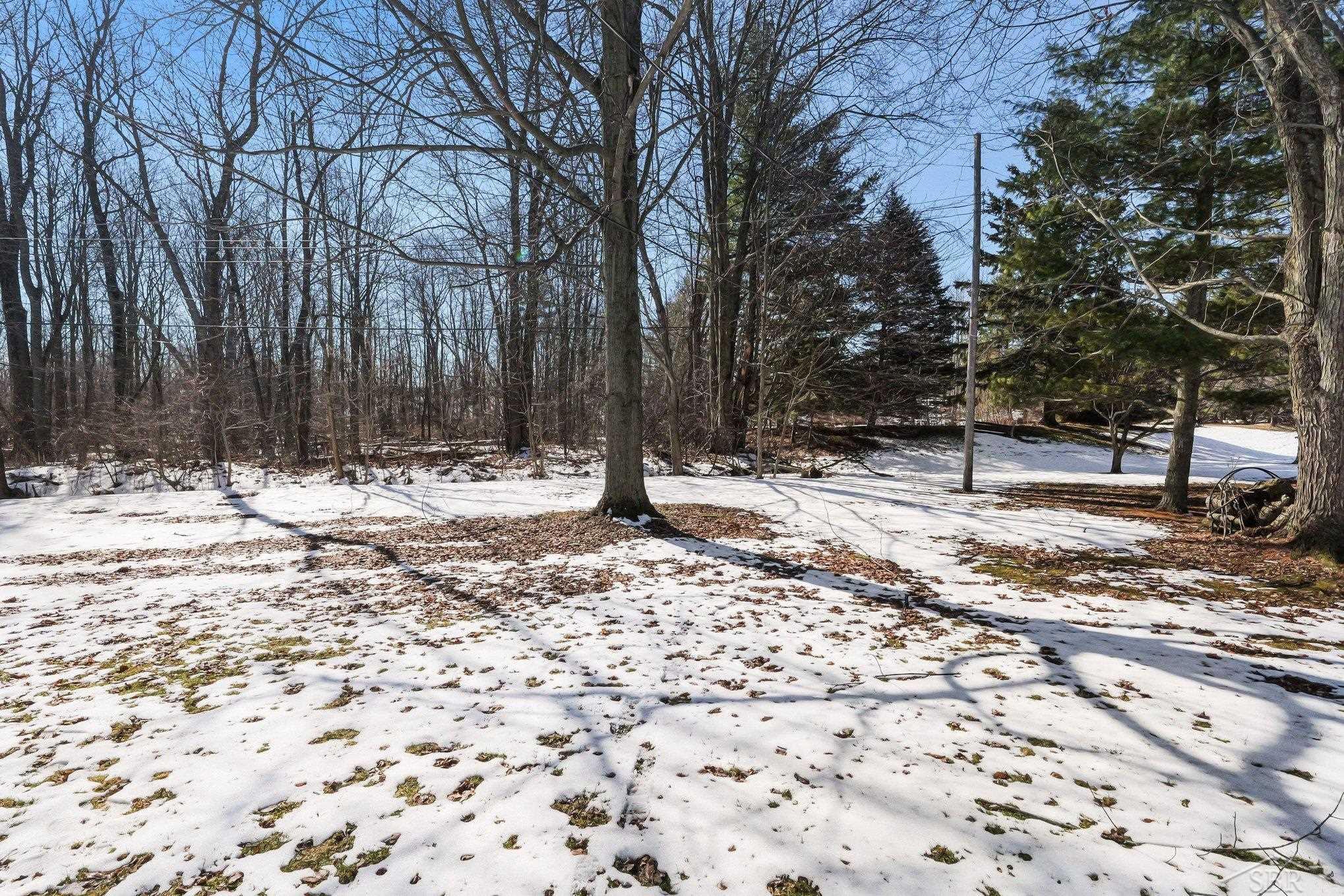 7247 Timber Trail Port Hope, MI 48468 - Photo 17 of 24