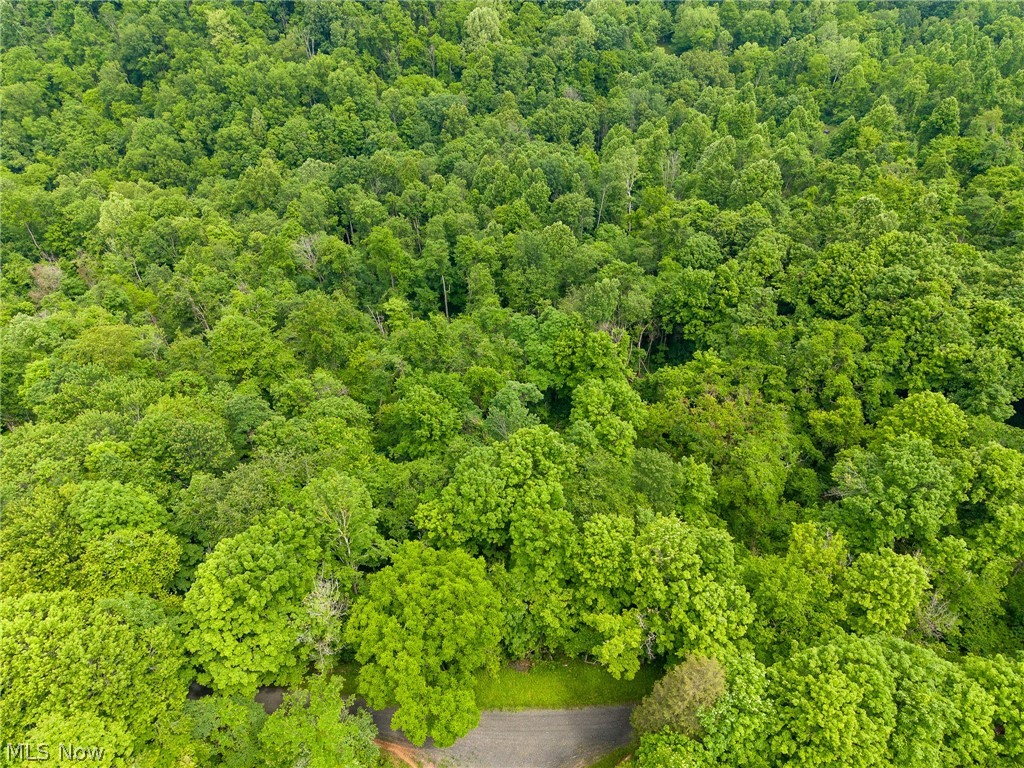 Kinnen Road Caldwell, OH 43724 - Photo 32 of 37