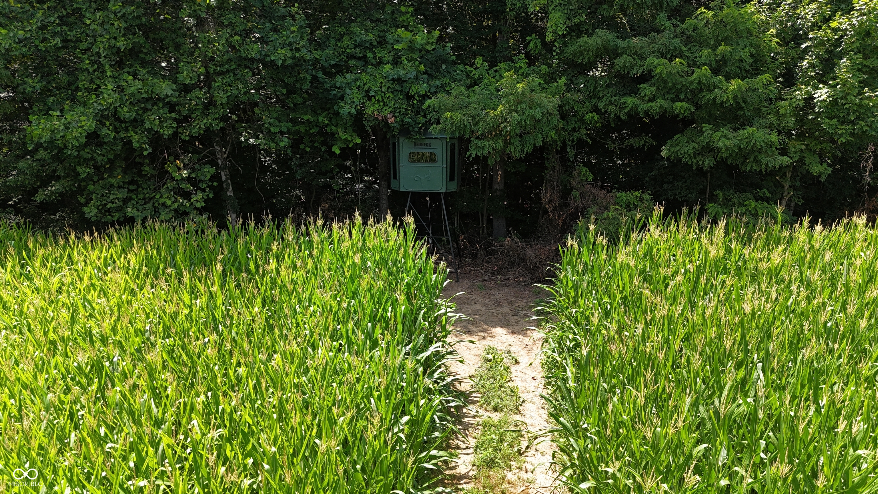 6000 North East Prong Road Madison, IN 47250 - Photo 11 of 91