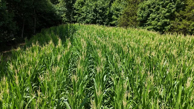 $679,900 | 6000 North East Prong Road, Madison, IN 47250