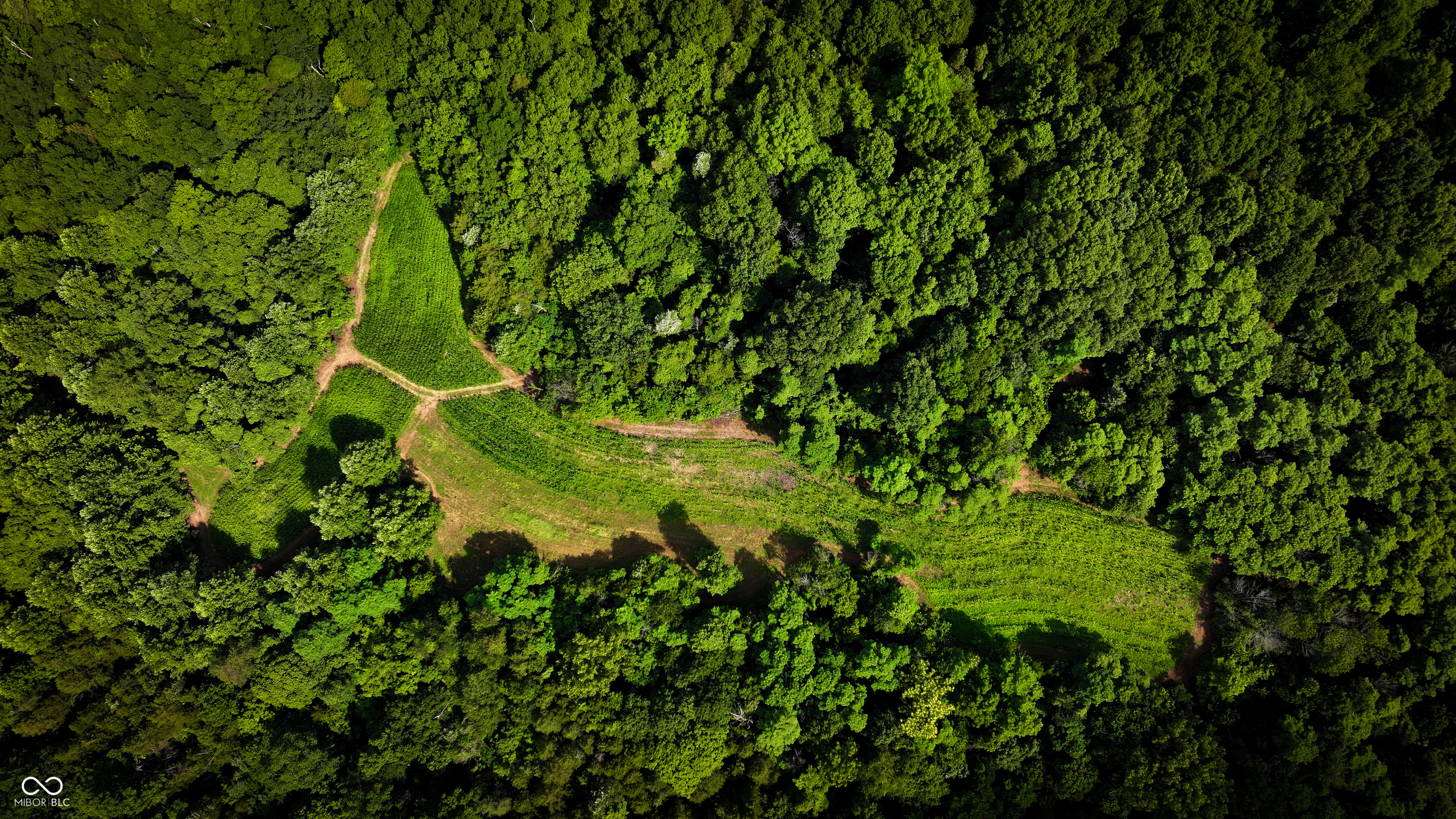 6000 North East Prong Road Madison, IN 47250 - Photo 15 of 91