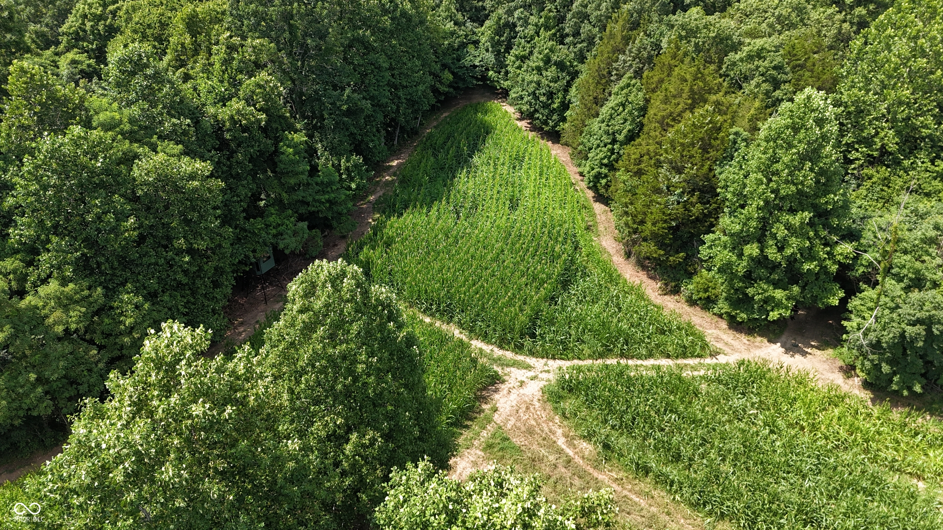 6000 North East Prong Road Madison, IN 47250 - Photo 16 of 91