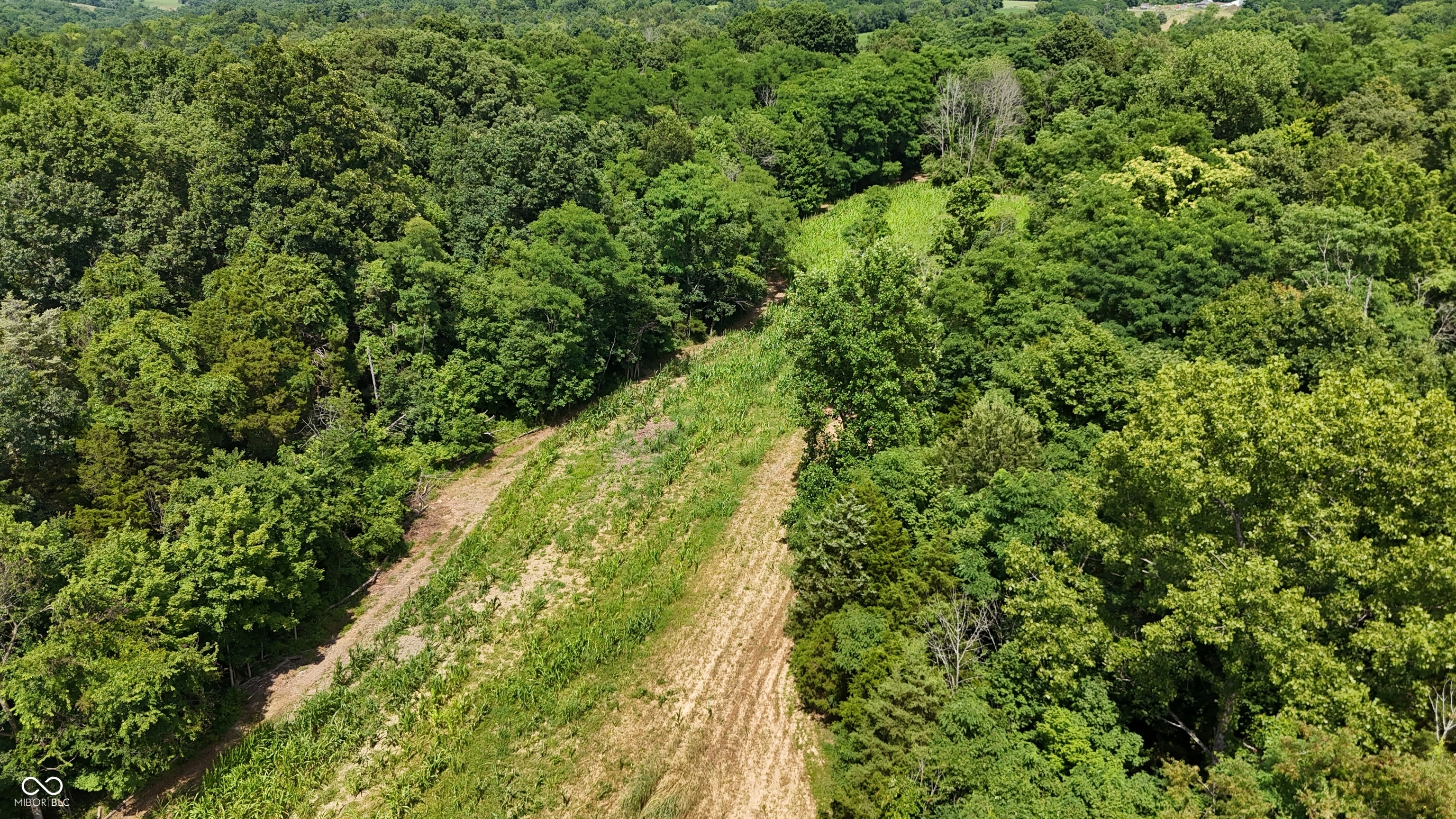 6000 North East Prong Road Madison, IN 47250 - Photo 17 of 91