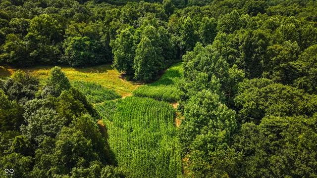 $679,900 | 6000 North East Prong Road, Madison, IN 47250