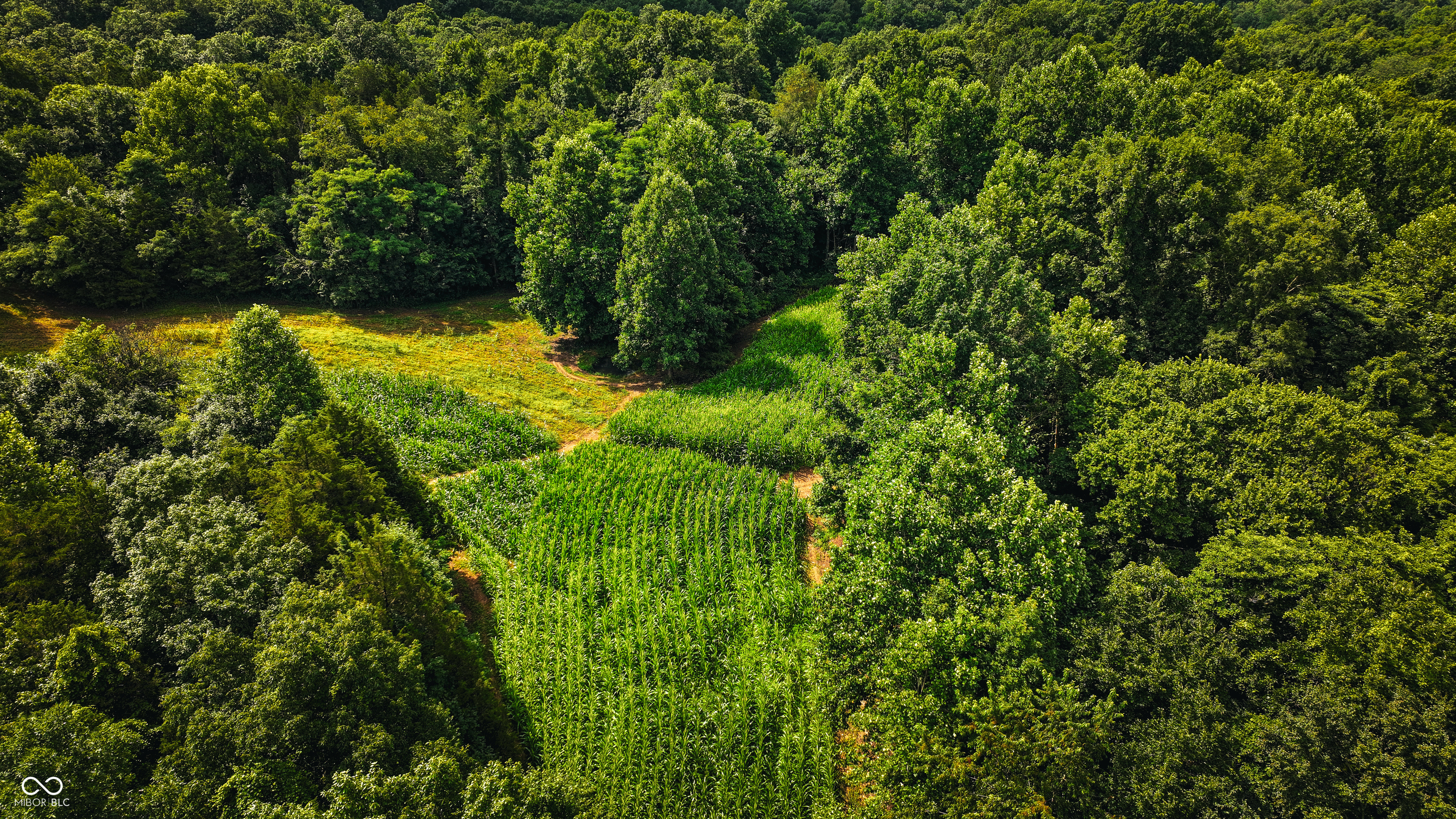 6000 North East Prong Road Madison, IN 47250 - Photo 19 of 91