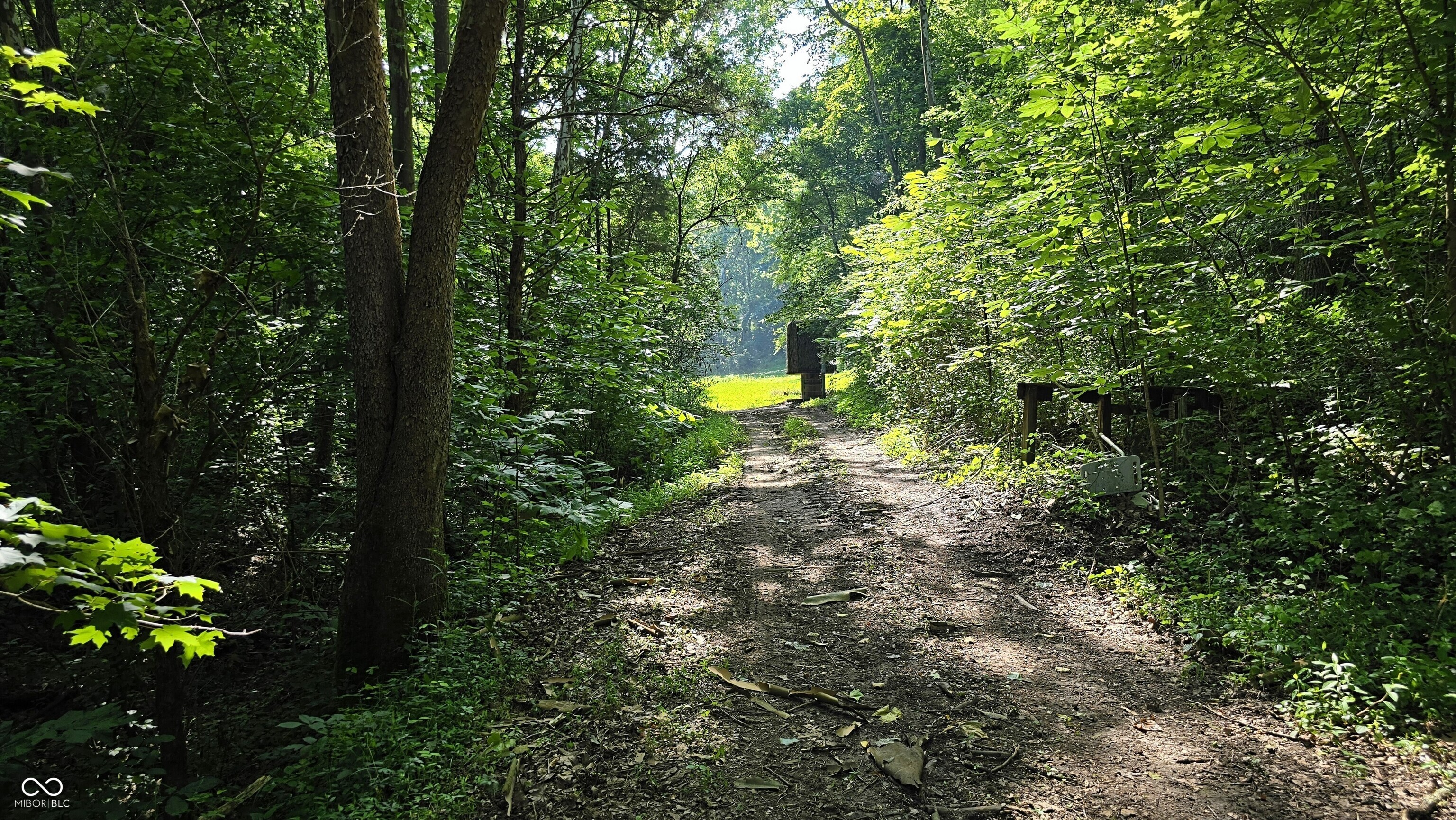 6000 North East Prong Road Madison, IN 47250 - Photo 2 of 91