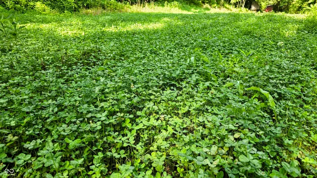 $679,900 | 6000 North East Prong Road, Madison, IN 47250