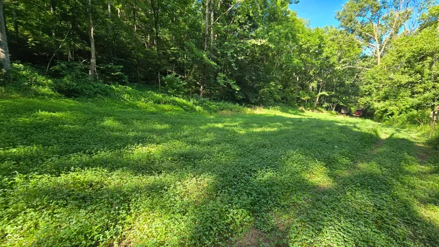 $679,900 | 6000 North East Prong Road, Madison, IN 47250