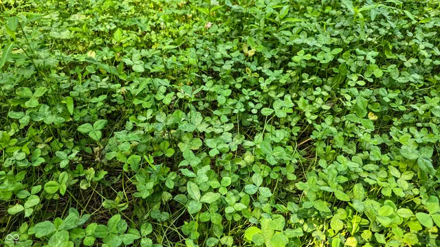 $679,900 | 6000 North East Prong Road, Madison, IN 47250