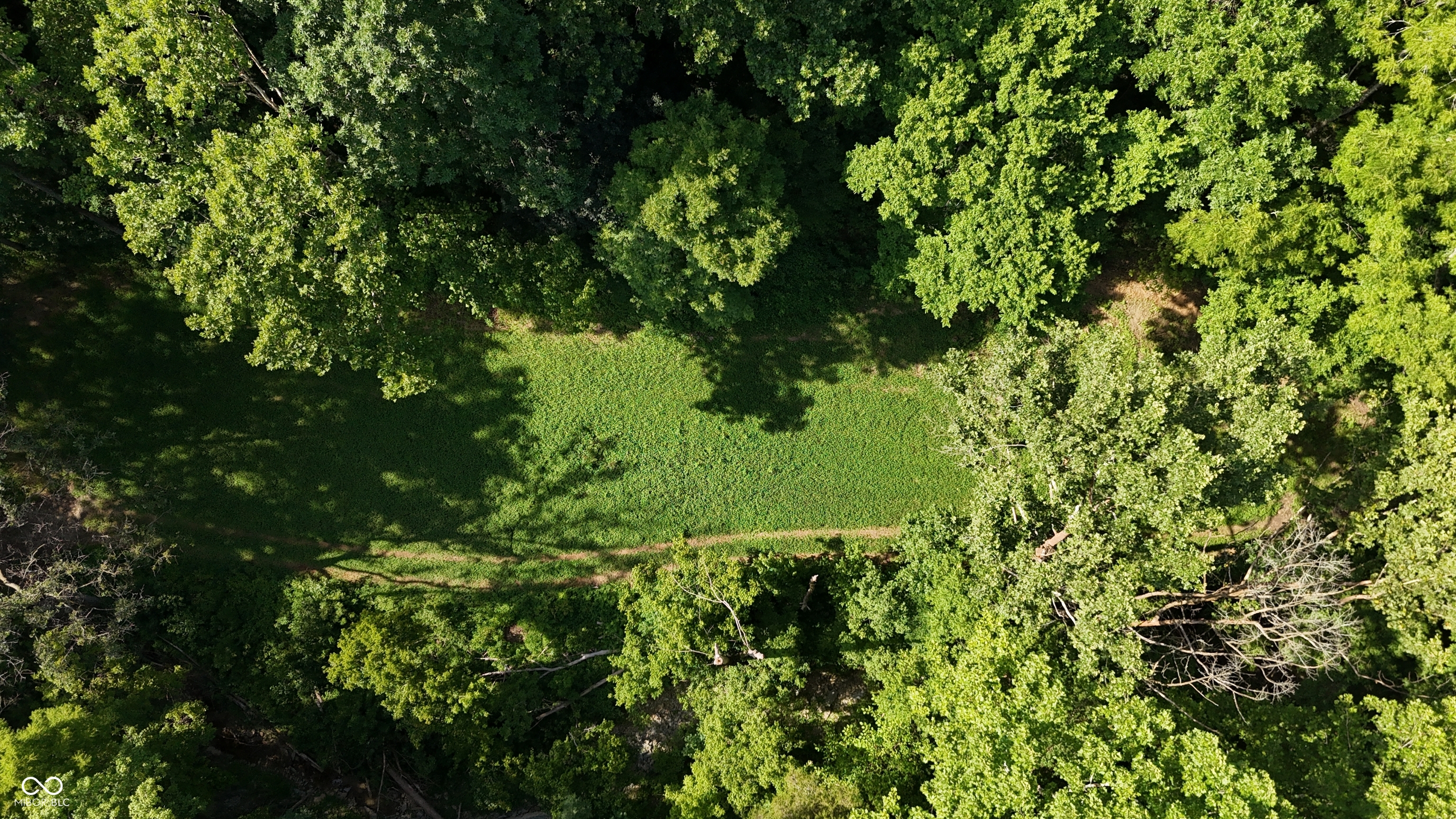 6000 North East Prong Road Madison, IN 47250 - Photo 33 of 91