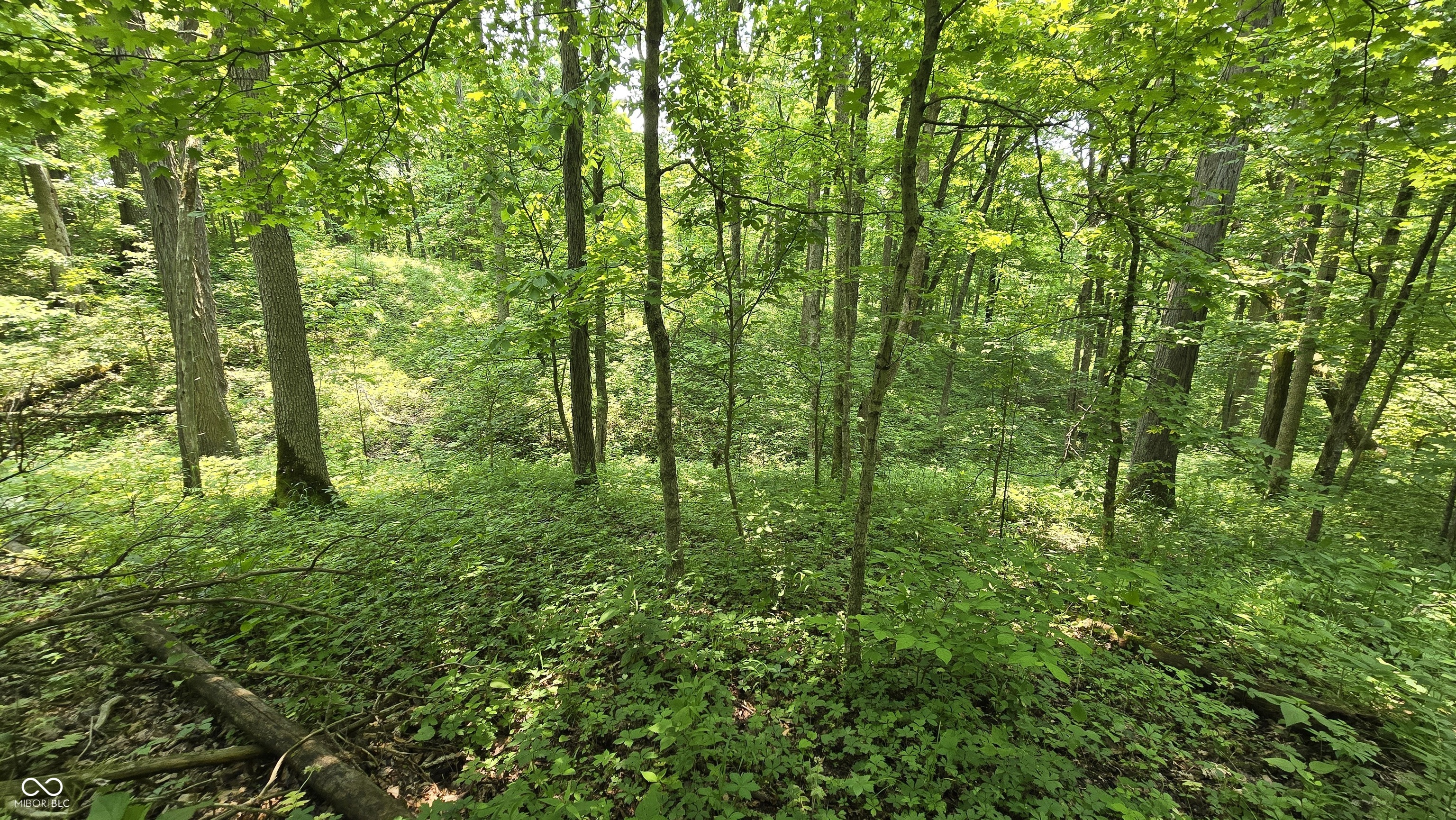 6000 North East Prong Road Madison, IN 47250 - Photo 36 of 91