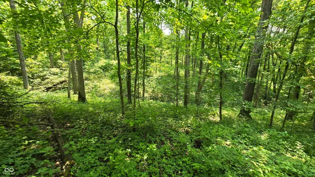 $679,900 | 6000 North East Prong Road, Madison, IN 47250