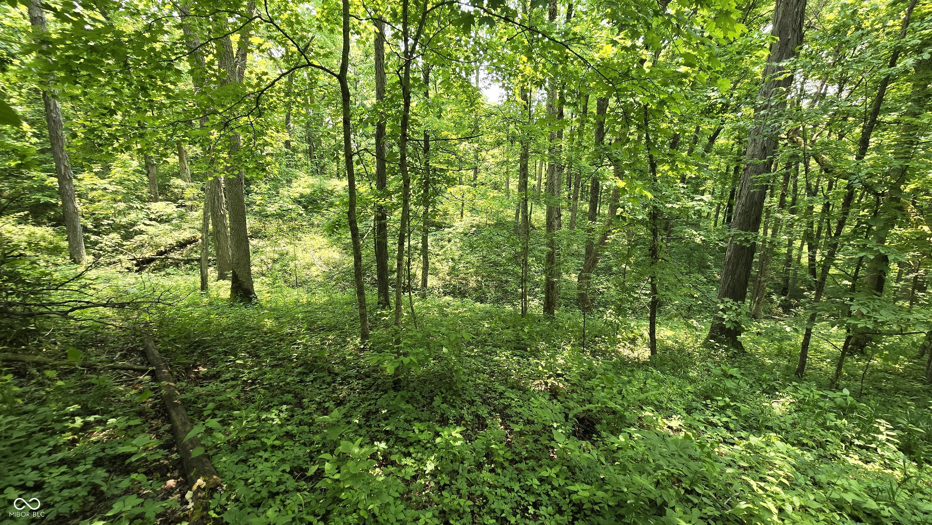 6000 North East Prong Road Madison, IN 47250 - Photo 37 of 91