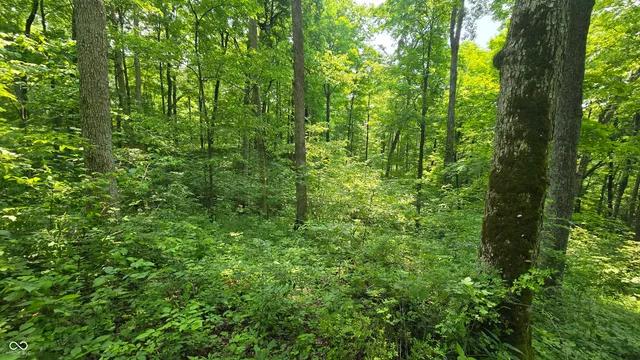 $679,900 | 6000 North East Prong Road, Madison, IN 47250