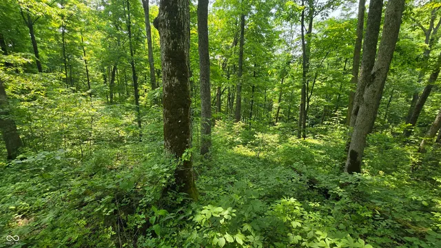 $679,900 | 6000 North East Prong Road, Madison, IN 47250