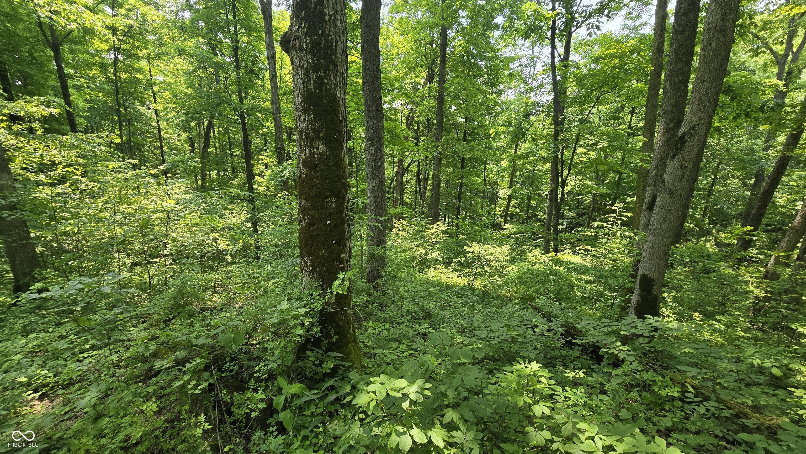 6000 North East Prong Road Madison, IN 47250 - Photo 39 of 91