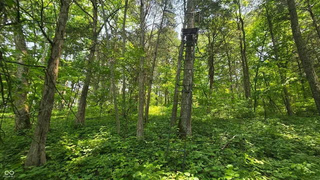 $679,900 | 6000 North East Prong Road, Madison, IN 47250