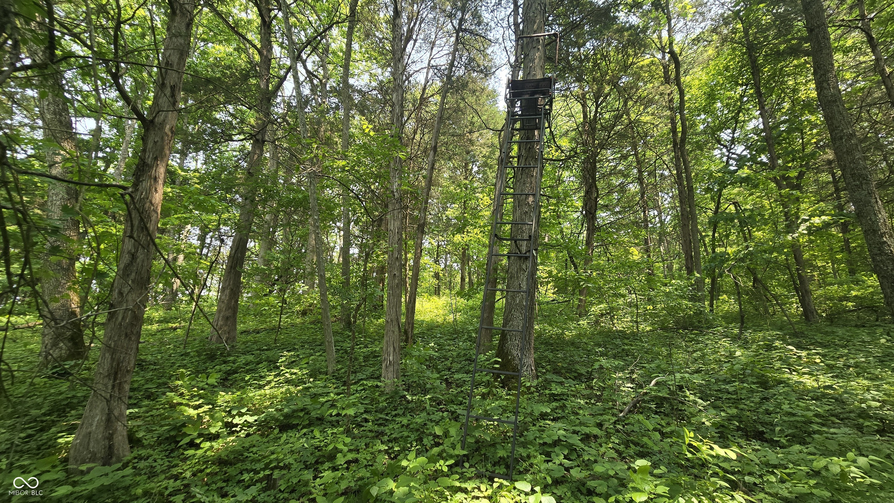 6000 North East Prong Road Madison, IN 47250 - Photo 40 of 91