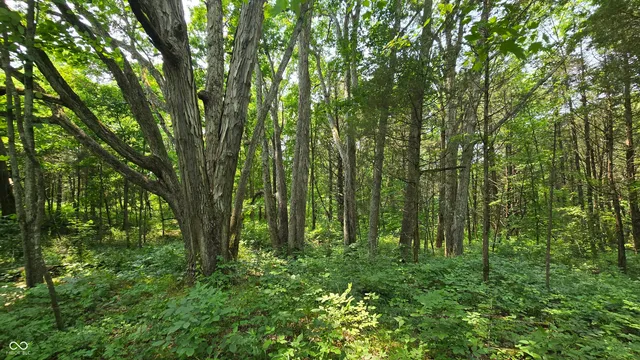 $679,900 | 6000 North East Prong Road, Madison, IN 47250