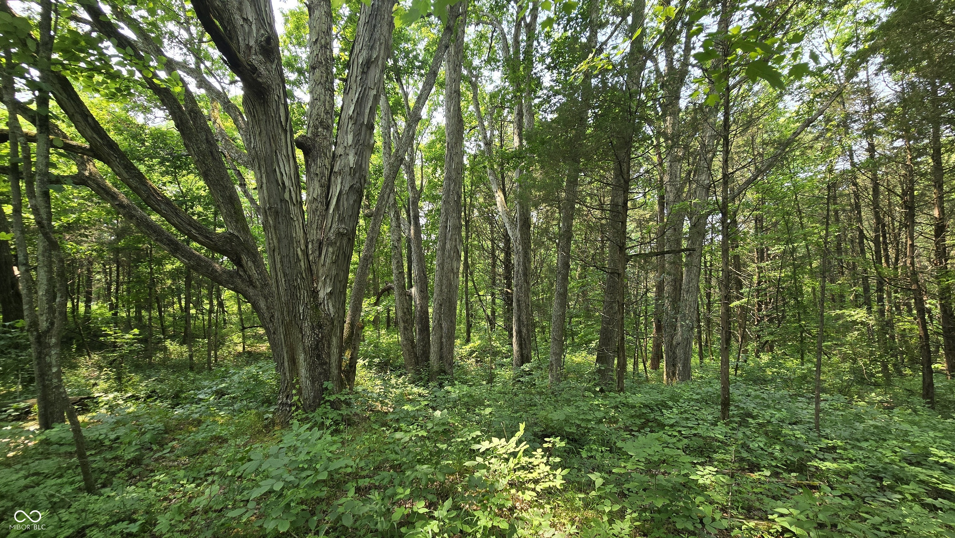 6000 North East Prong Road Madison, IN 47250 - Photo 4 of 91