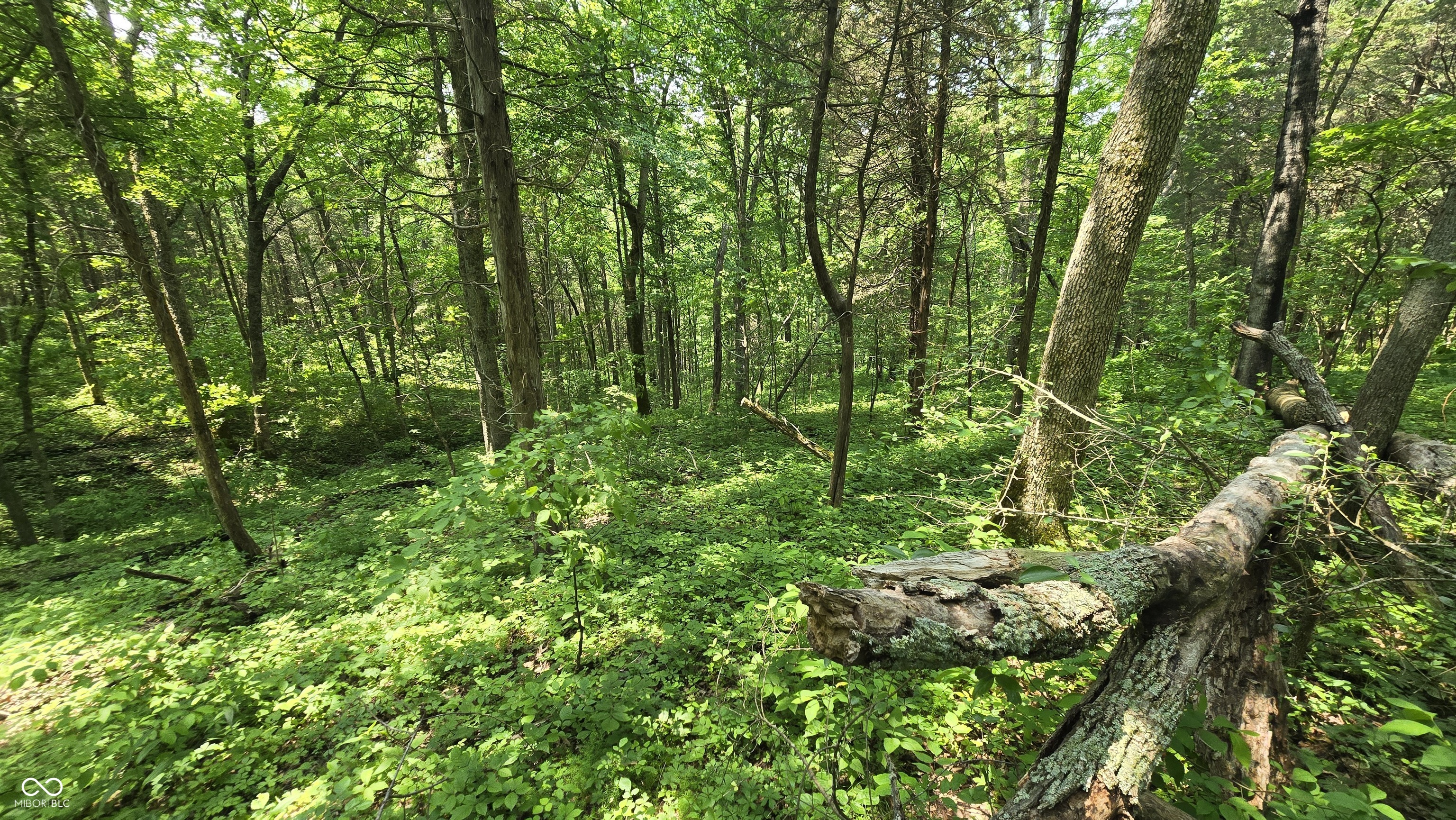 6000 North East Prong Road Madison, IN 47250 - Photo 41 of 91