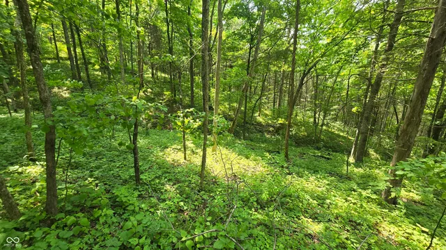 $679,900 | 6000 North East Prong Road, Madison, IN 47250