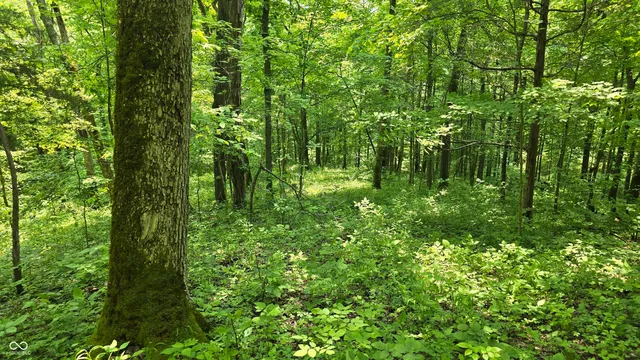 $679,900 | 6000 North East Prong Road, Madison, IN 47250