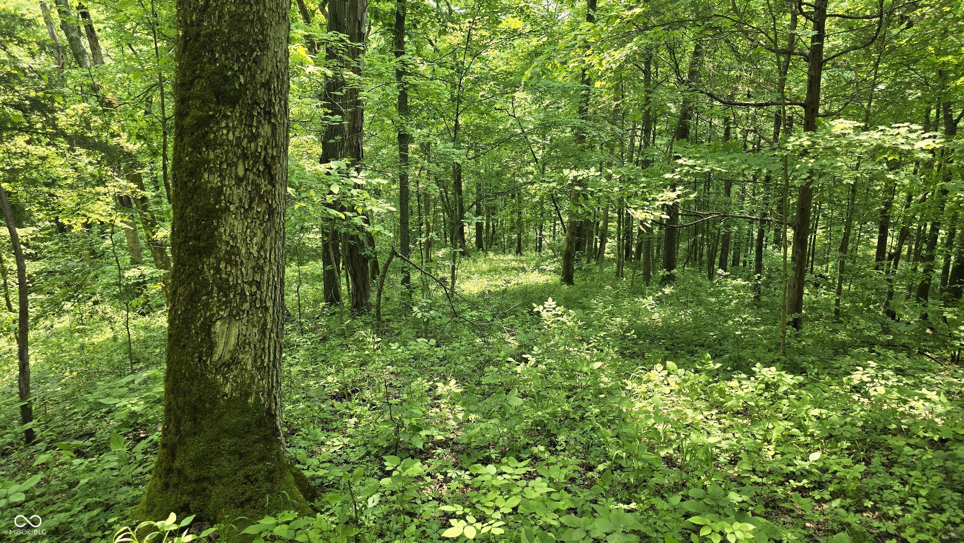 6000 North East Prong Road Madison, IN 47250 - Photo 43 of 91