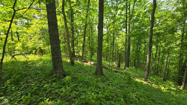 $679,900 | 6000 North East Prong Road, Madison, IN 47250