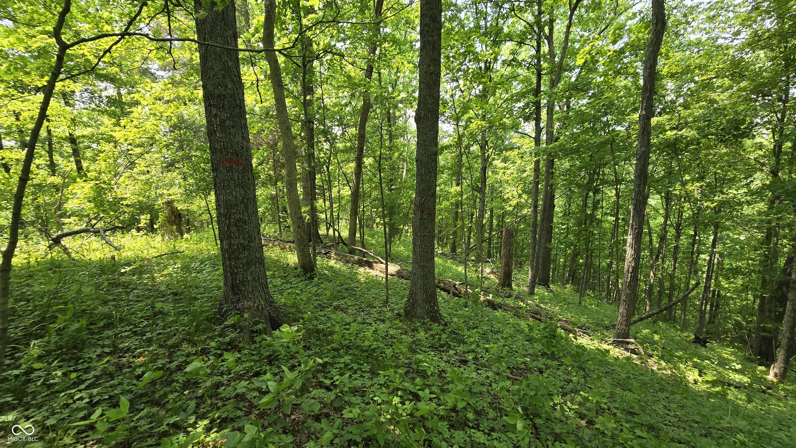 6000 North East Prong Road Madison, IN 47250 - Photo 44 of 91