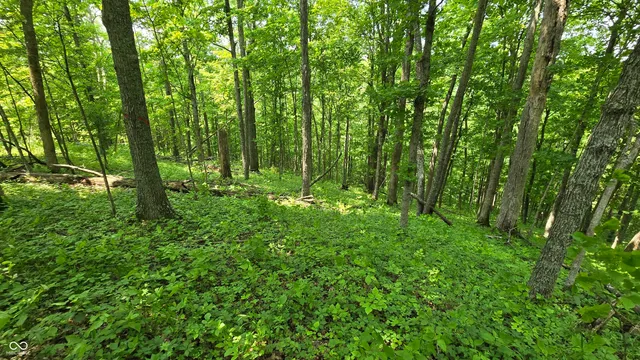 $679,900 | 6000 North East Prong Road, Madison, IN 47250