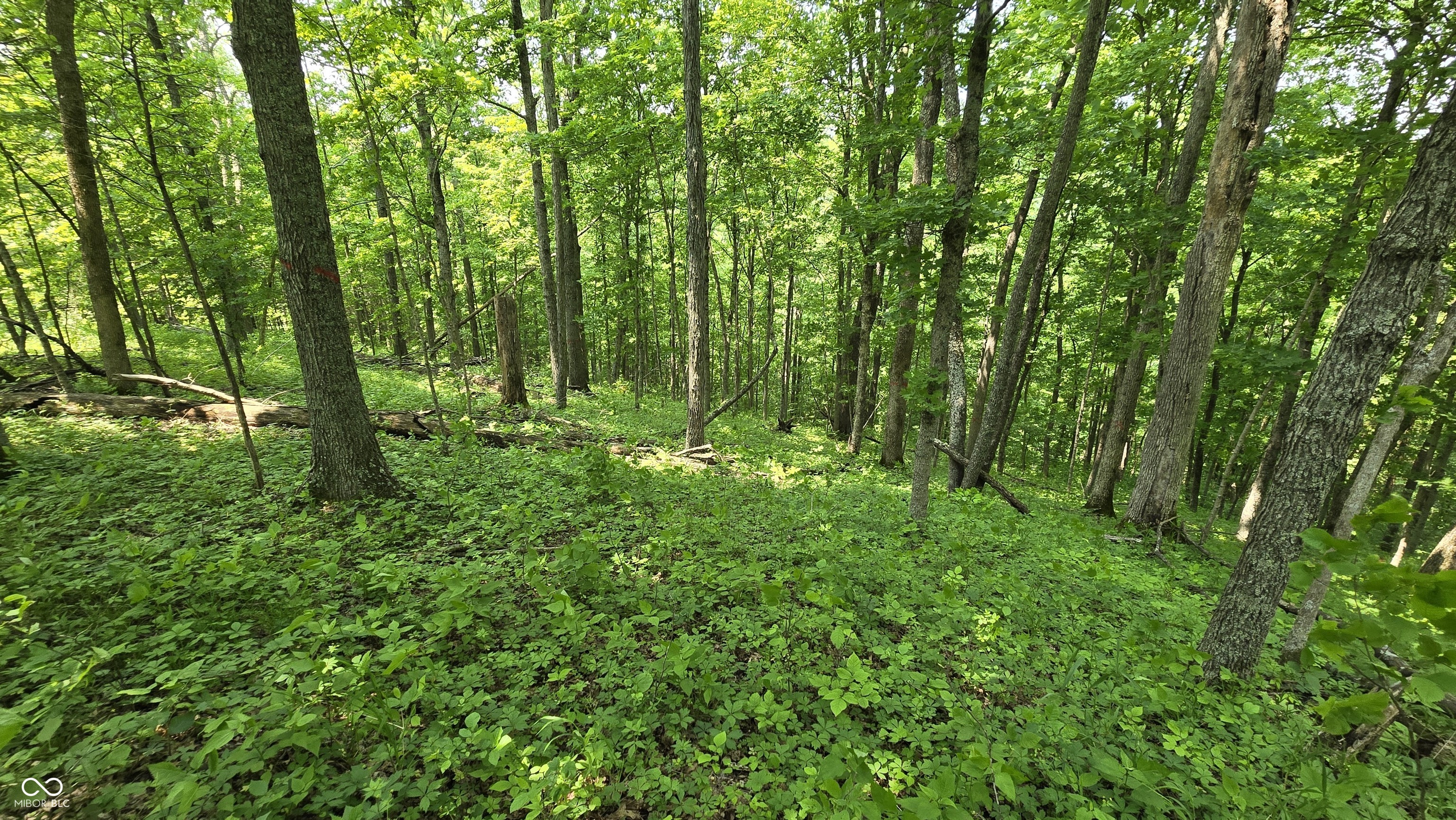 6000 North East Prong Road Madison, IN 47250 - Photo 45 of 91