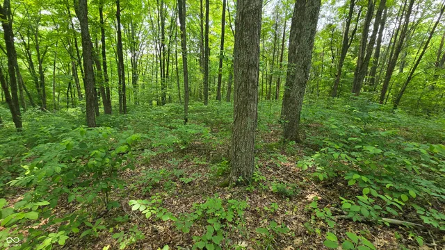 $679,900 | 6000 North East Prong Road, Madison, IN 47250