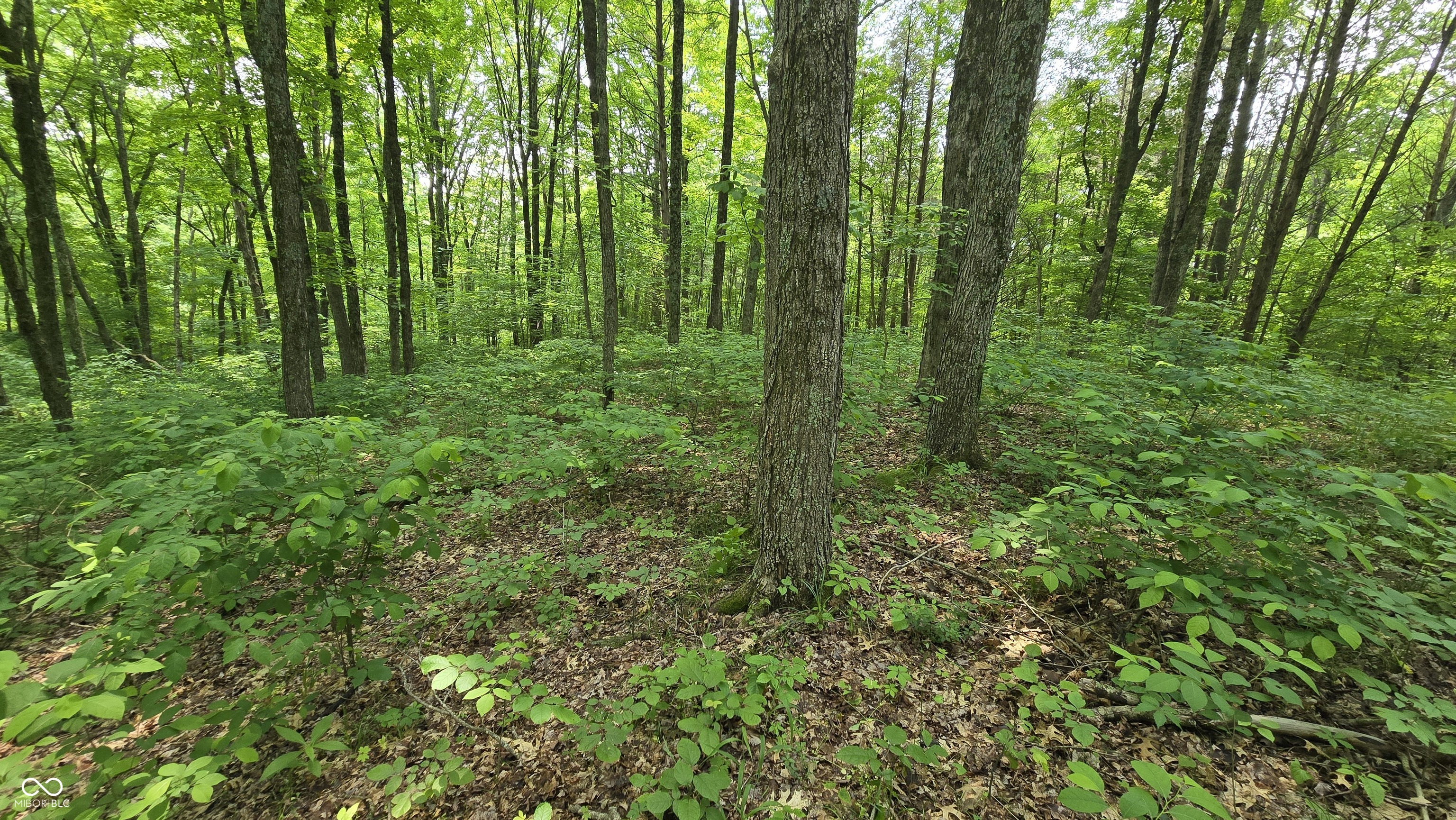 6000 North East Prong Road Madison, IN 47250 - Photo 46 of 91