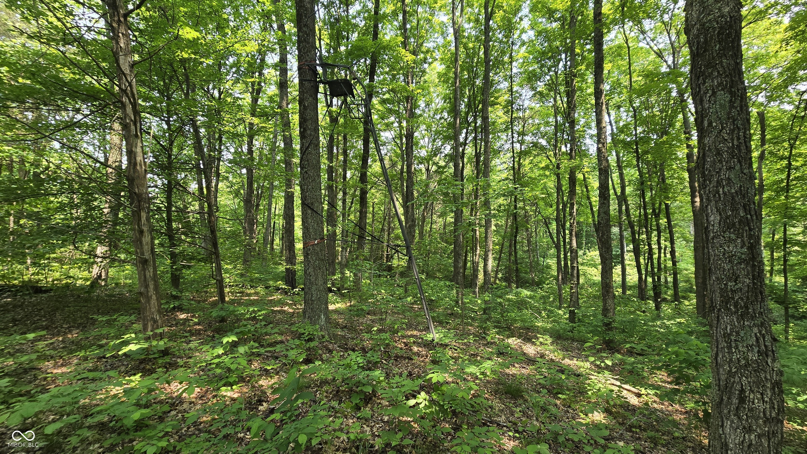 6000 North East Prong Road Madison, IN 47250 - Photo 47 of 91