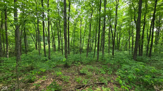 $679,900 | 6000 North East Prong Road, Madison, IN 47250