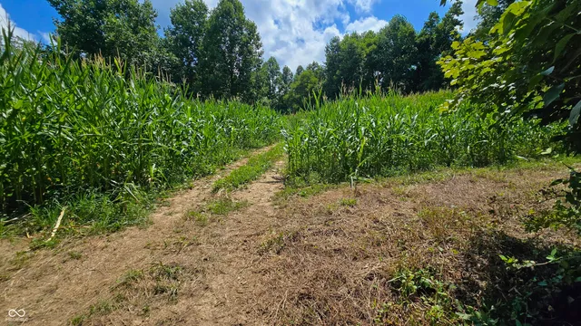 $679,900 | 6000 North East Prong Road, Madison, IN 47250