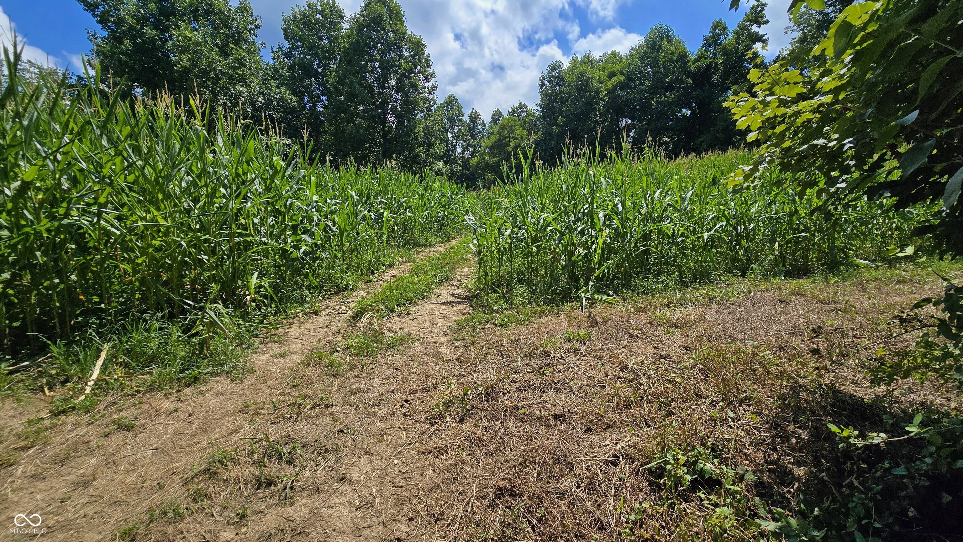 6000 North East Prong Road Madison, IN 47250 - Photo 49 of 91