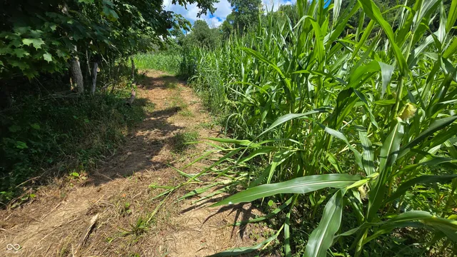 $679,900 | 6000 North East Prong Road, Madison, IN 47250