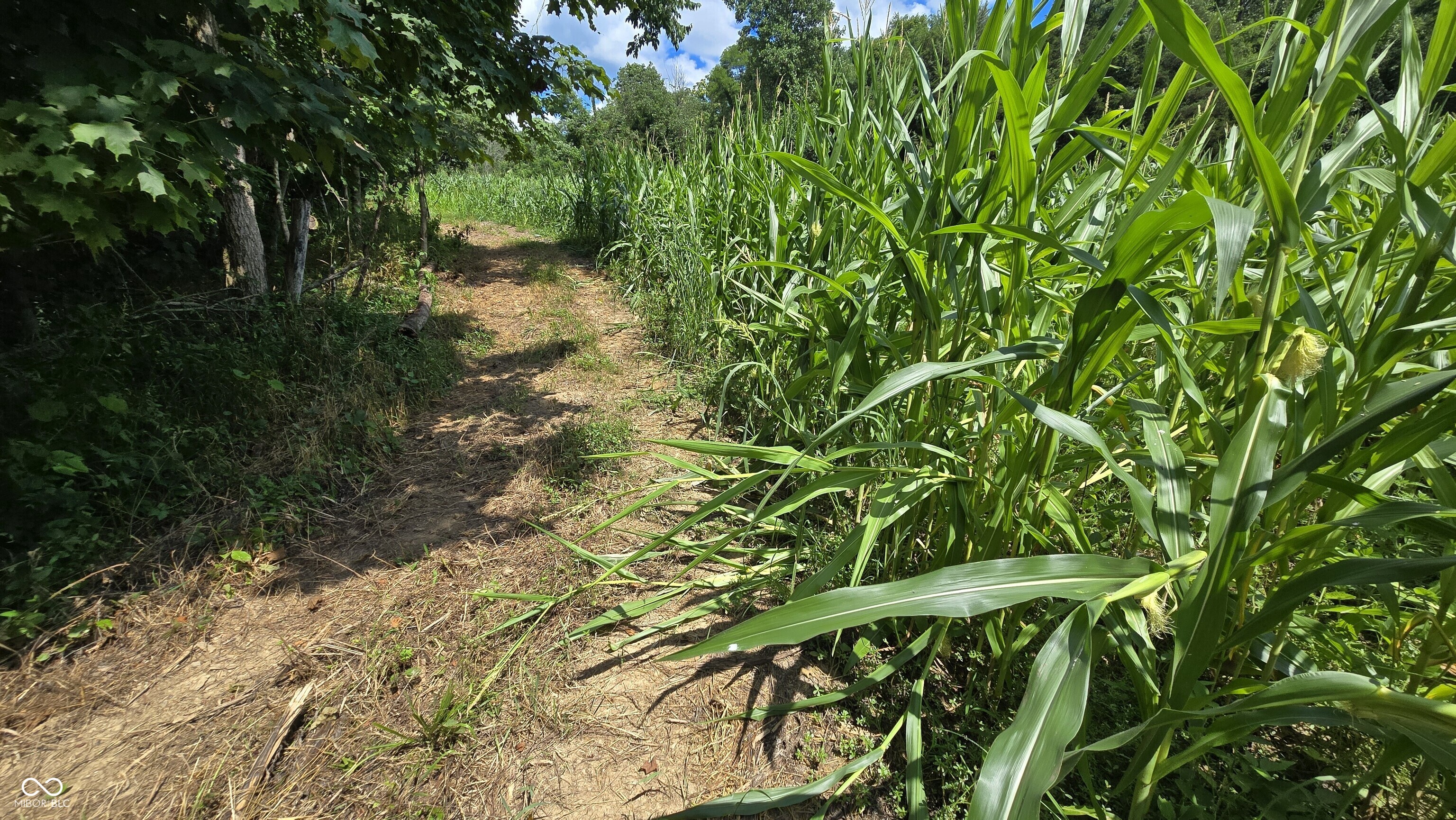 6000 North East Prong Road Madison, IN 47250 - Photo 50 of 91