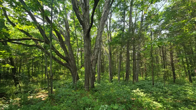 $679,900 | 6000 North East Prong Road, Madison, IN 47250