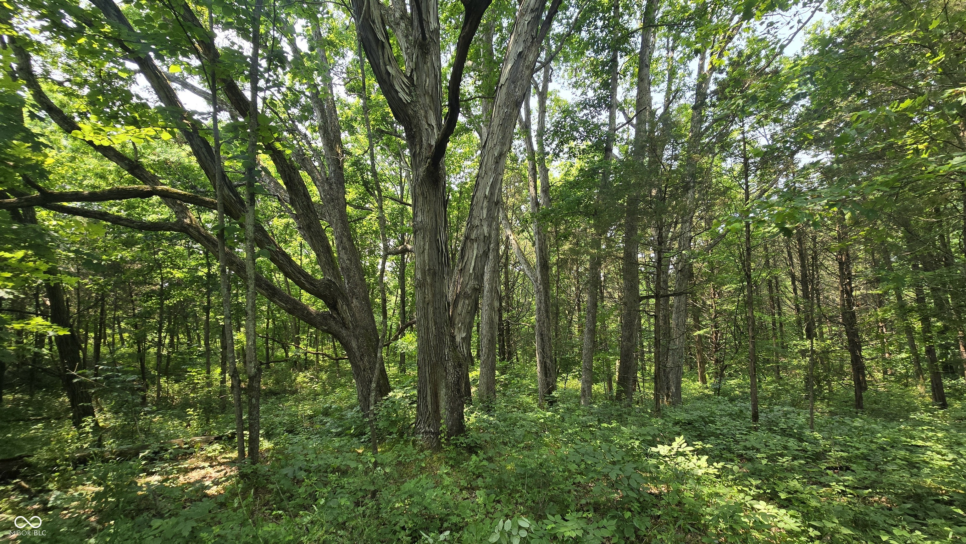 6000 North East Prong Road Madison, IN 47250 - Photo 5 of 91