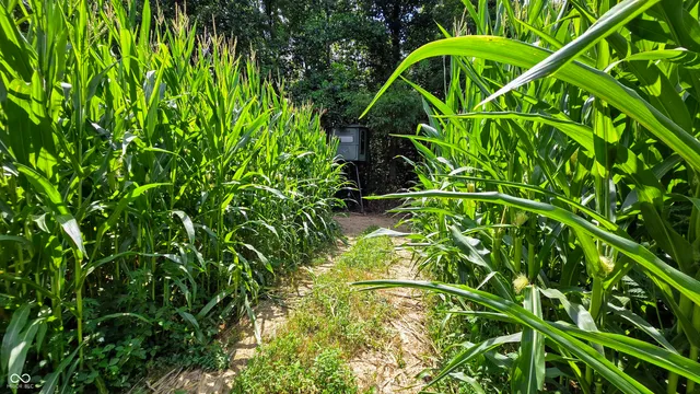 $679,900 | 6000 North East Prong Road, Madison, IN 47250