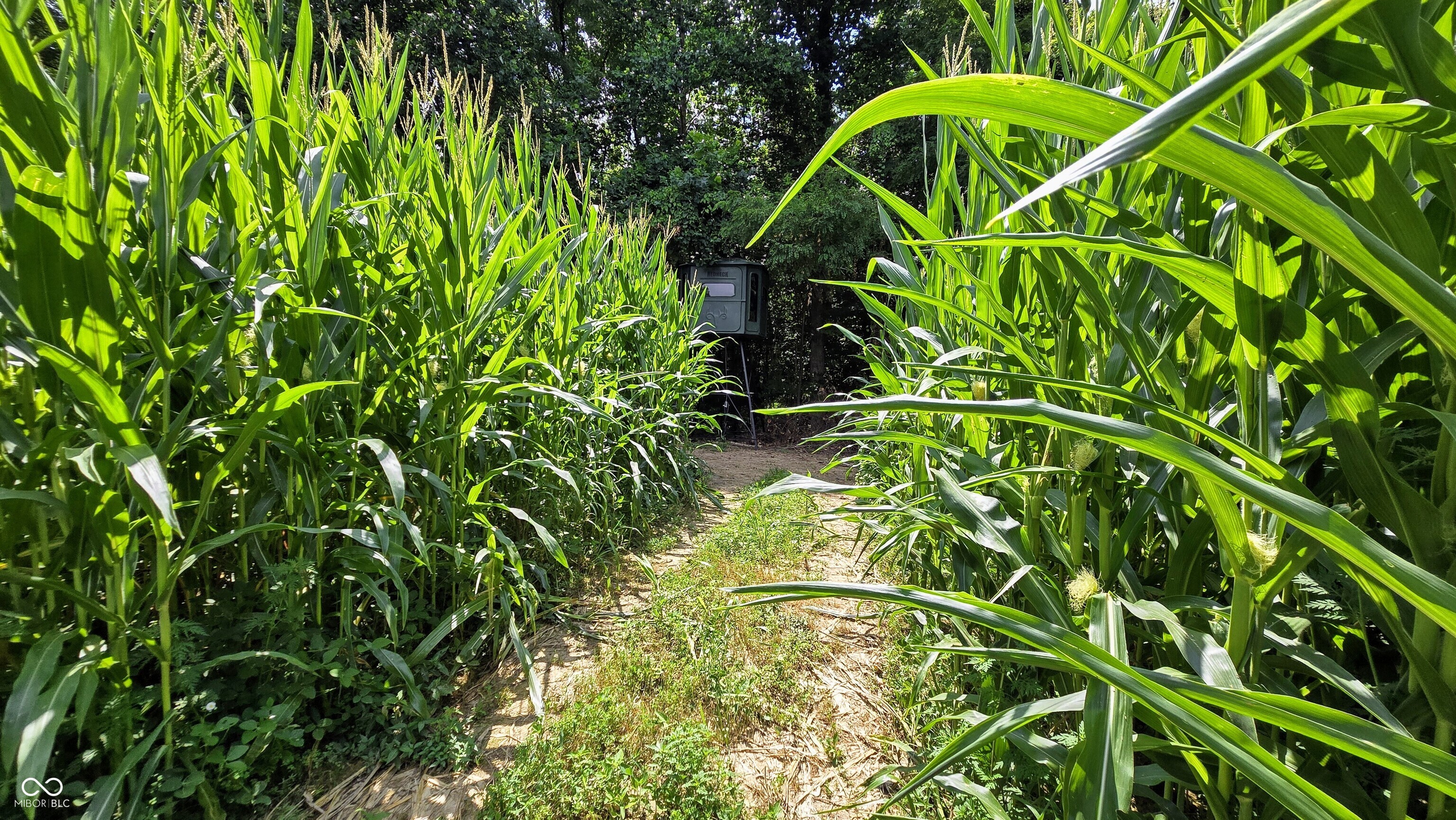 6000 North East Prong Road Madison, IN 47250 - Photo 51 of 91