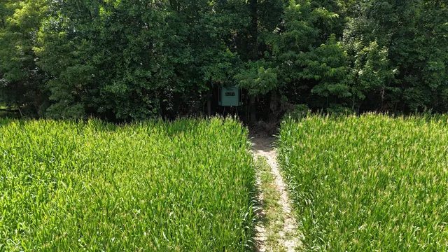 $679,900 | 6000 North East Prong Road, Madison, IN 47250