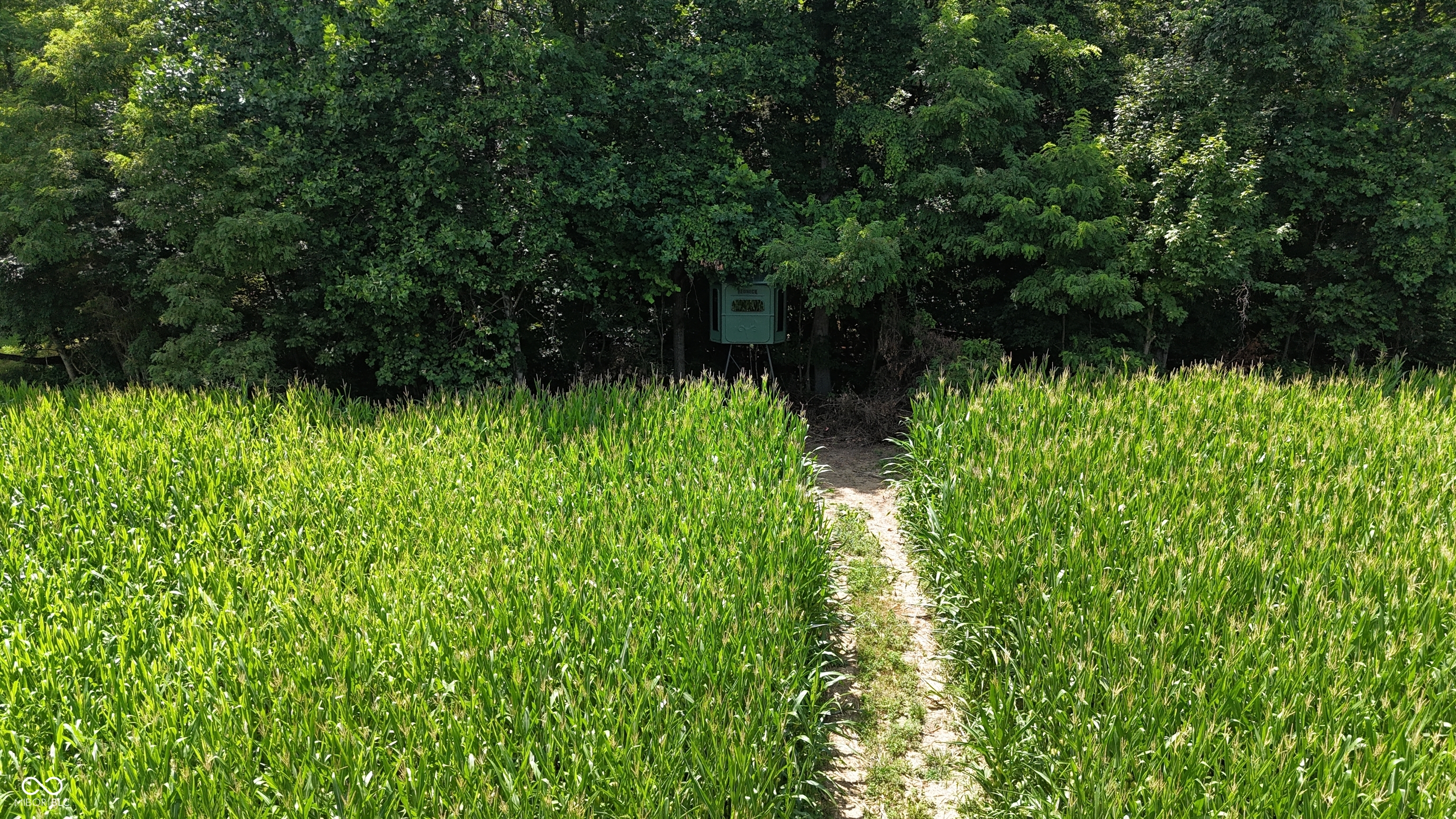 6000 North East Prong Road Madison, IN 47250 - Photo 52 of 91