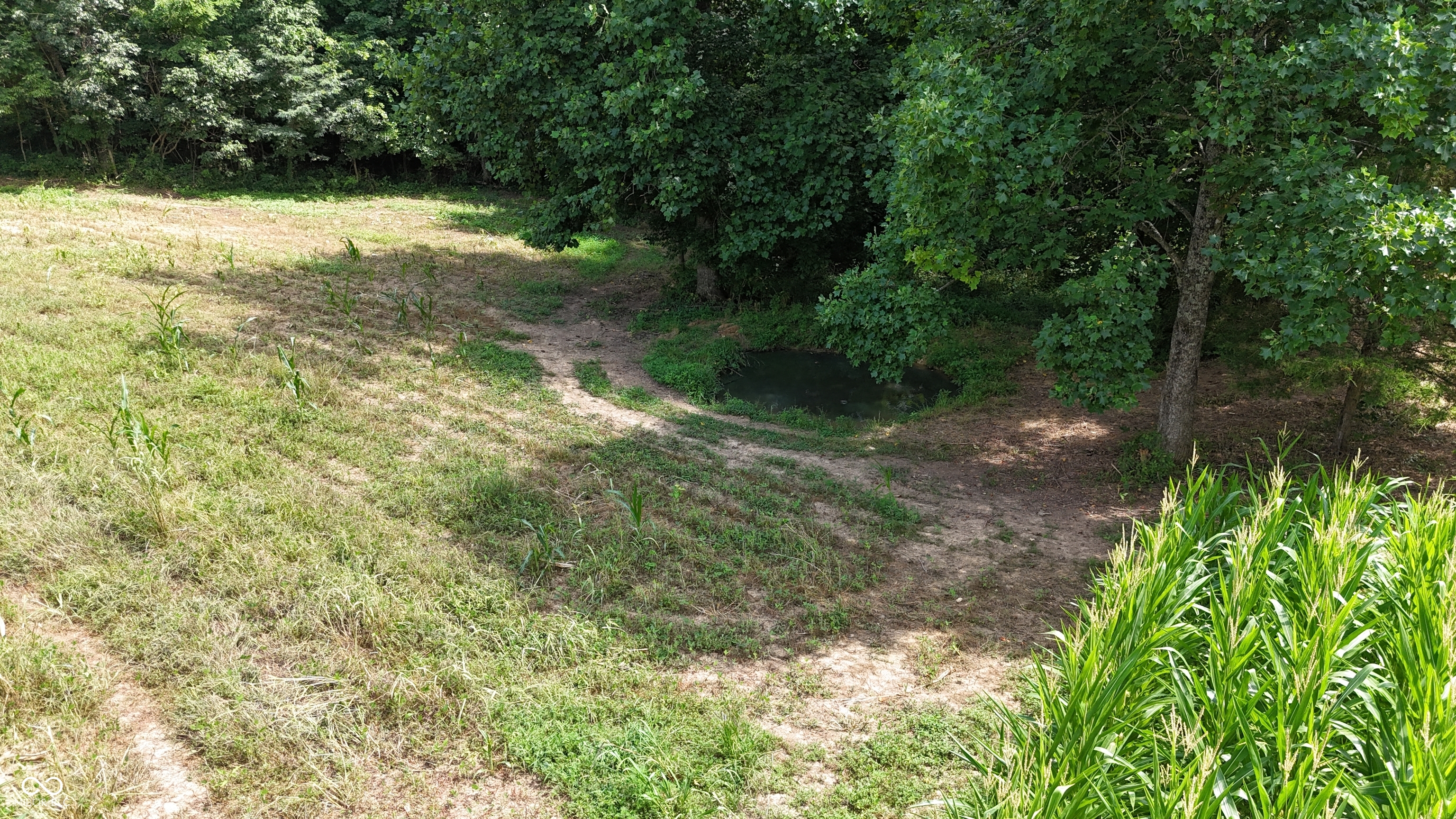 6000 North East Prong Road Madison, IN 47250 - Photo 55 of 91